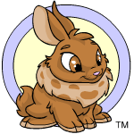 Classic Background brown cybunny (old pre-customisation)