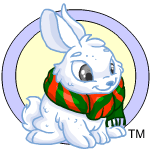 Classic Background snow cybunny (old pre-customisation)