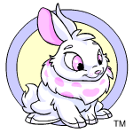Classic Background white cybunny (old pre-customisation)