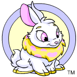 Classic Background yellow cybunny (old pre-customisation)