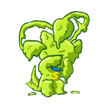 snot aisha