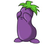 aubergine chia