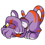 purple kougra