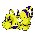 Defended yellow kougra (old pre-customisation)