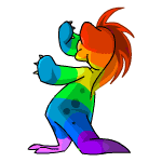 rainbow krawk