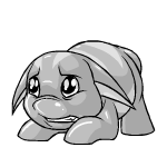 silver poogle