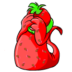Defended strawberry tuskaninny (old pre-customisation)