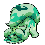 camouflage wocky