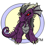 darigan draik