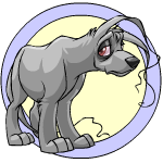 grey gelert