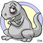 grey grarrl