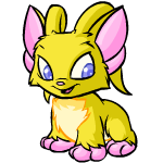 http://images.neopets.com/pets/happy/acara_yellow_baby.gif