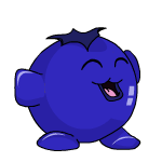 Happy blueberry chia (old pre-customisation)