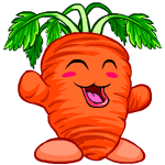 Happy carrot chia (old pre-customisation)