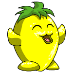 Happy lemon chia (old pre-customisation)