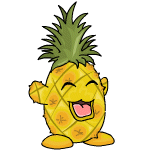 Happy pineapple chia (old pre-customisation)