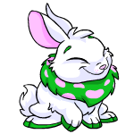 Happy green cybunny (old pre-customisation)
