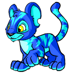 Happy electric kougra (old pre-customisation)