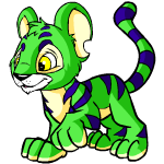 Happy green kougra (old pre-customisation)