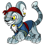 Happy pirate kougra (old pre-customisation)