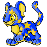 starry kougra