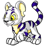 Happy white kougra (old pre-customisation)