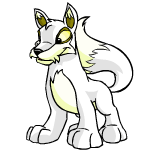 Happy white lupe (old pre-customisation)