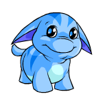 Happy blue poogle (old pre-customisation)