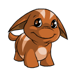 Happy brown poogle (old pre-customisation)