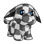 Happy checkered poogle (old pre-customisation)
