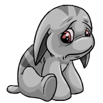 Happy grey poogle (old pre-customisation)