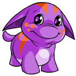 purple poogle