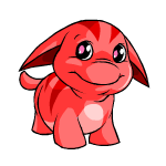 Happy red poogle (old pre-customisation)