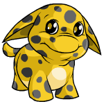 Happy spotted poogle (old pre-customisation)