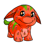 strawberry poogle