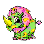 This is what my neopet looked like before