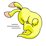 yellow blumaroo