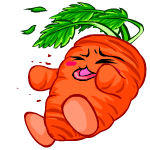 Hit carrot chia (old pre-customisation)