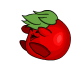 tomato chia