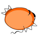 orange kiko