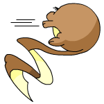 brown meerca
