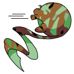 camouflage meerca