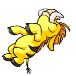 yellow moehog