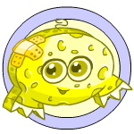 Classic Background sponge kiko (old pre-customisation)