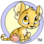 baby kougra