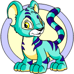 blue kougra