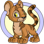 Classic Background brown kougra (old pre-customisation)