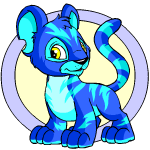 Classic Background electric kougra (old pre-customisation)