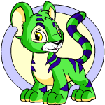 green kougra