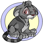 Classic Background grey kougra (old pre-customisation)